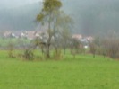 GANESHA-Referenzen: Wiese in Wildensee GANESHA-Referenzen: Wiese in Wildensee
